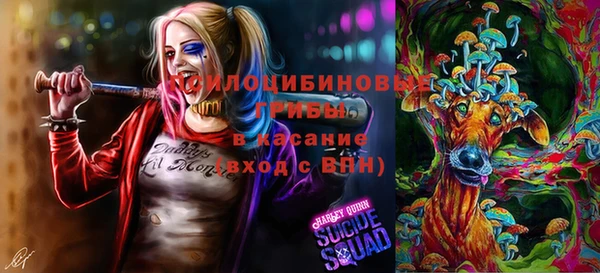PSILOCYBIN Магадан