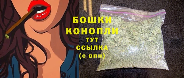 спиды Магас