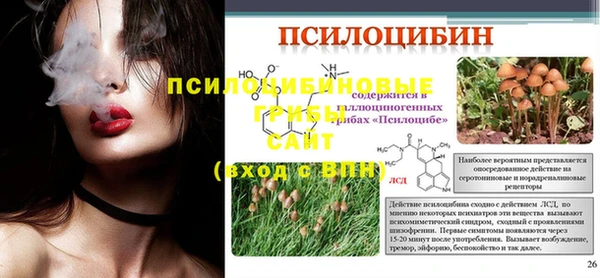 спиды Магас