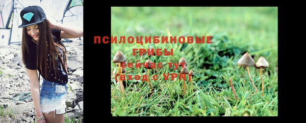 кокс Ладушкин