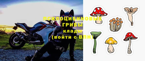 спиды Магас
